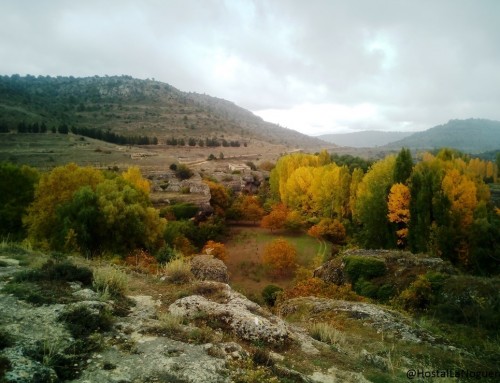 Disfruta del Otoño en la Noguera