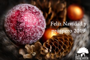 Feliz Navidad