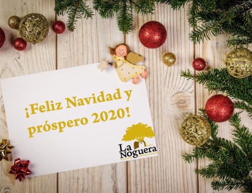 ¡Feliz Navidad y próspero año nuevo 2020!